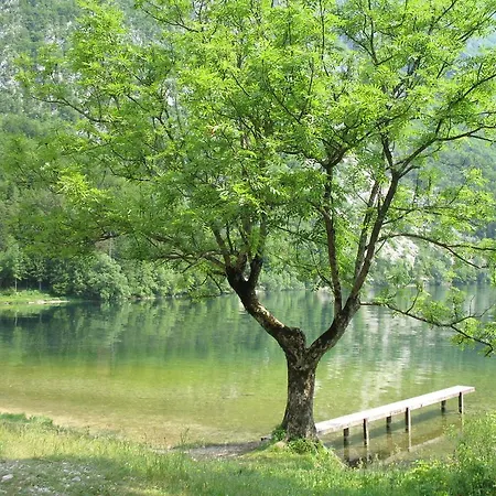 Apartman Apartma Jeglic