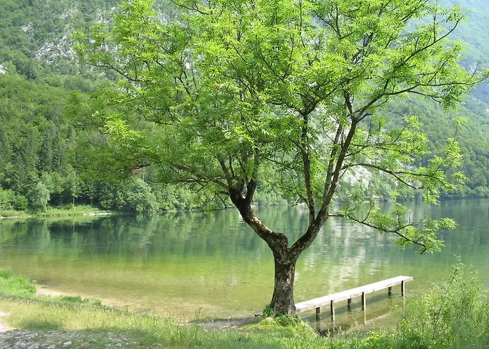 Lejlighed Apartma Jeglic